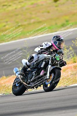 media/Apr-13-2024-Classic Track Day (Sat) [[9dd147332a]]/Group 3/Session 3 (Turn 3)/